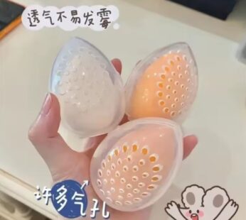 Cosmetic Egg Storage Box Beauty Sponge